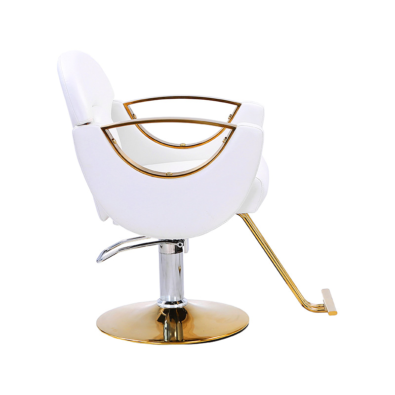 HZ8765BZ / HZ8765WZ / HZ8765PZ / HZ8765Z 경량 스타일링 살롱 의자