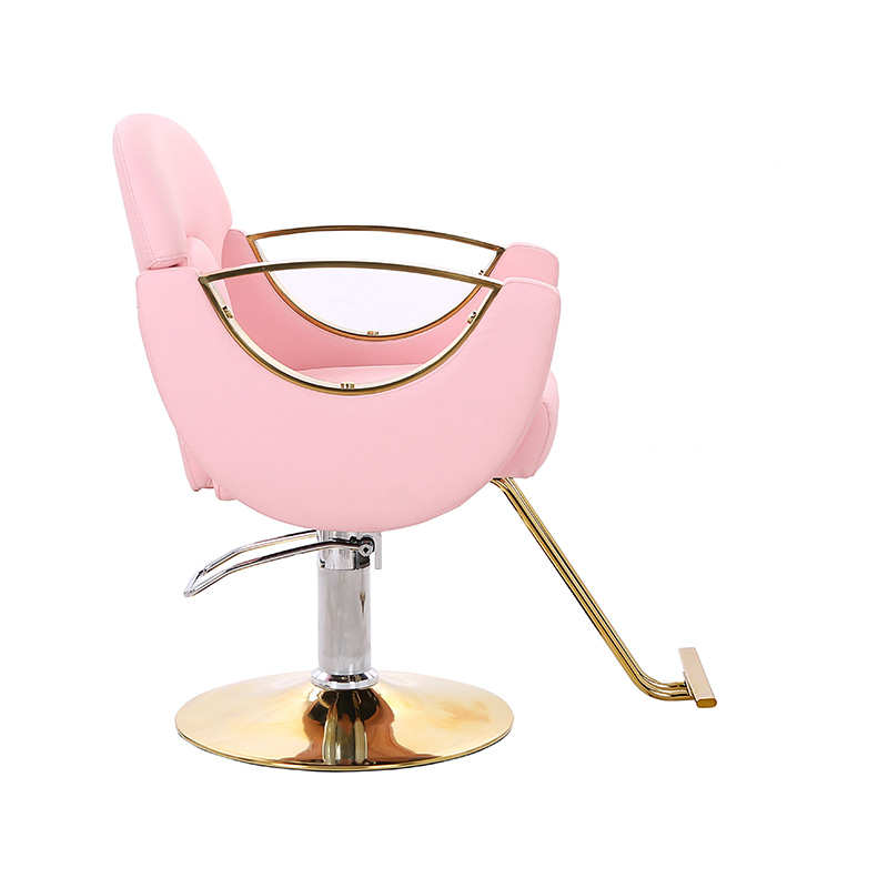 HZ8765BZ / HZ8765WZ / HZ8765PZ / HZ8765Z 경량 스타일링 살롱 의자